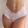2Pcs/Lot Women Sexy Lace Panties Bow Low-Rise Temptation Lingerie Female G String Transparent Underwear Embroidery Thong Intimates