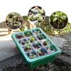 Seed Starter Trays Kit Indoor Greenhouse Mini Propagator Adjustable Humidity