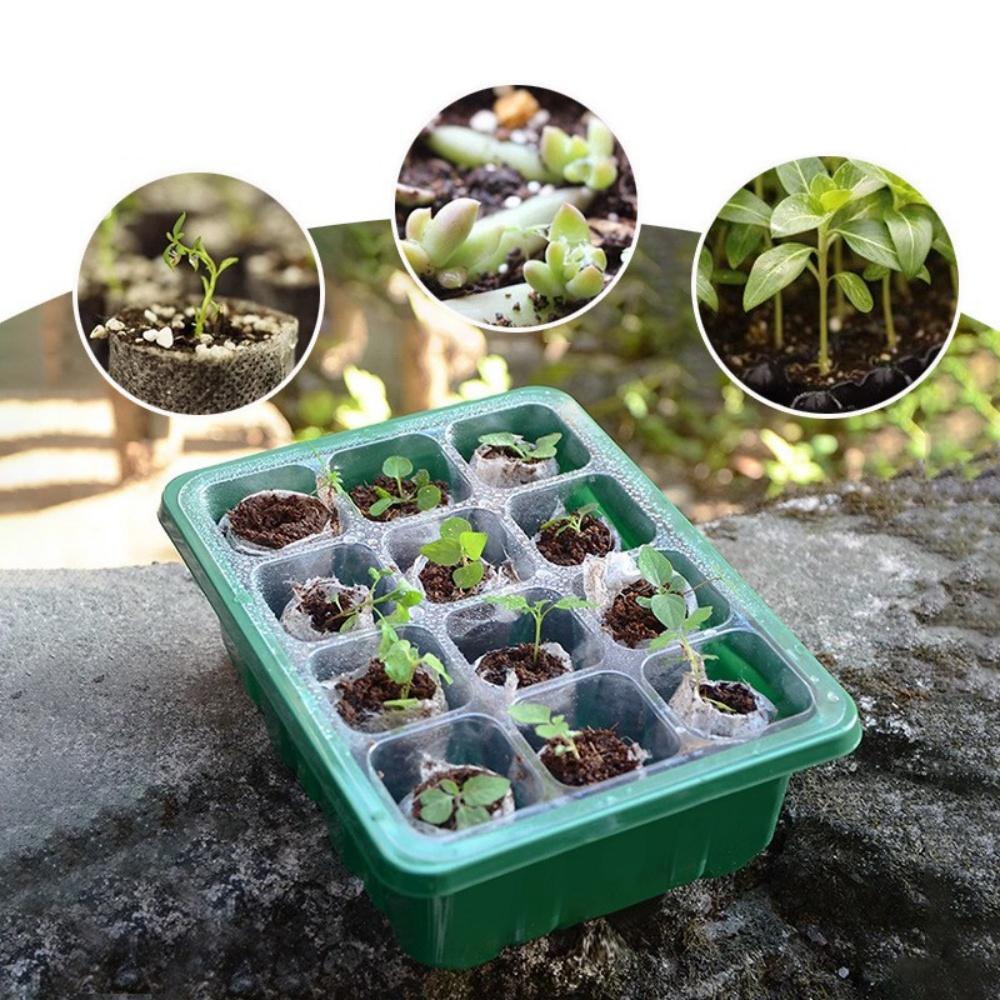 Seed Starter Trays Kit Indoor Greenhouse Mini Propagator Adjustable Humidity