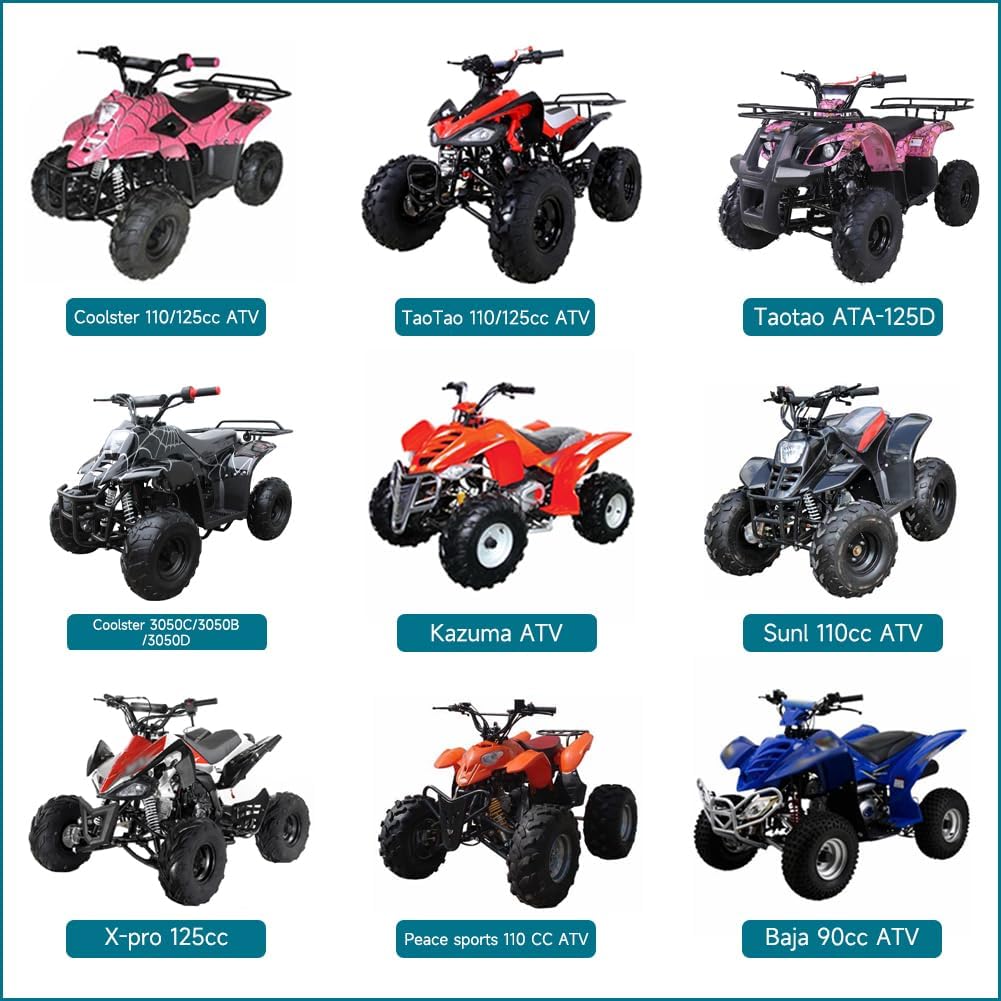 FVRITO PZ20 Carburetor Kit For Tao Tao Coolster 125Cc 110Cc 90Cc 70Cc 50Cc Kazuma Baja Chinese ATV Quad 4 Wheeler SunL NST Roketa Loncin Lifan XR80