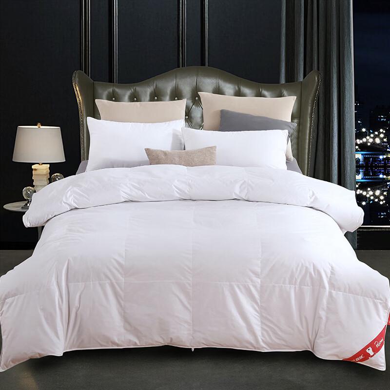 Bejirog Arctic White Goose Down Comforter
