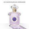 Guerlain - Eau de Parfum Insolence 75 ml - 