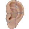 Silicone Ear Model, Flexible Left and Right Model for Ear Piercing, Silicone Body Parts, Silicone Ear Mould (Dark Skin Colour)