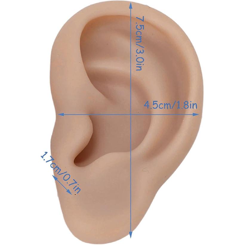 Silicone Ear Model, Flexible Left and Right Model for Ear Piercing, Silicone Body Parts, Silicone Ear Mould (Dark Skin Colour)