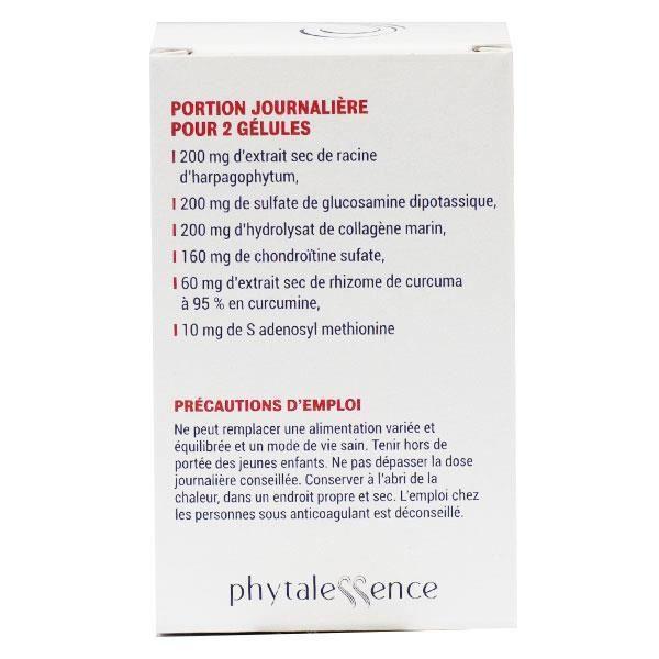 Phytalessence Artiphytol 40 Gélules