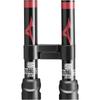 MIZUNO Nordic Walk Folding Walking Poles Set of C3JTPB10 4-Section LITE, 2, Unisex, Red,
