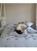 Elegant Blue Embroidered All-Cotton Bedding Set - Cozy and Thick for Autumn and Winter