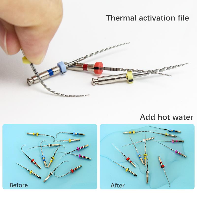6Pcs/Box Activated Root Canal File Dentist Tools Root Canal File Endodontic Files Dental Rotary Files Dental Materials