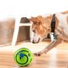 Neuer lustiger Wackel-Wag-Kicherball Ungiftig Gerollt Interaktives Spielzeug Keine Batterien erforderlich Haustier-Quietscher Hundespielzeug