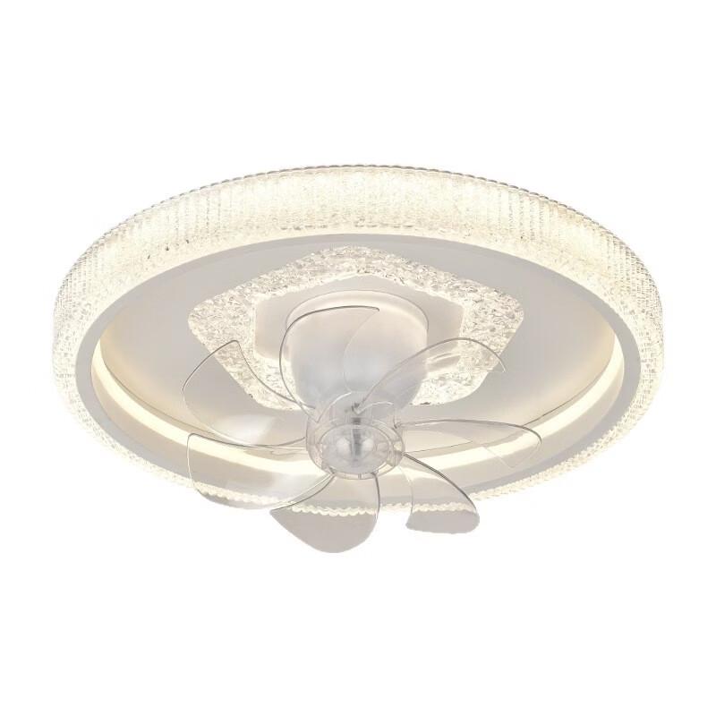 Oeny Oscillating Ceiling Fan Lamp