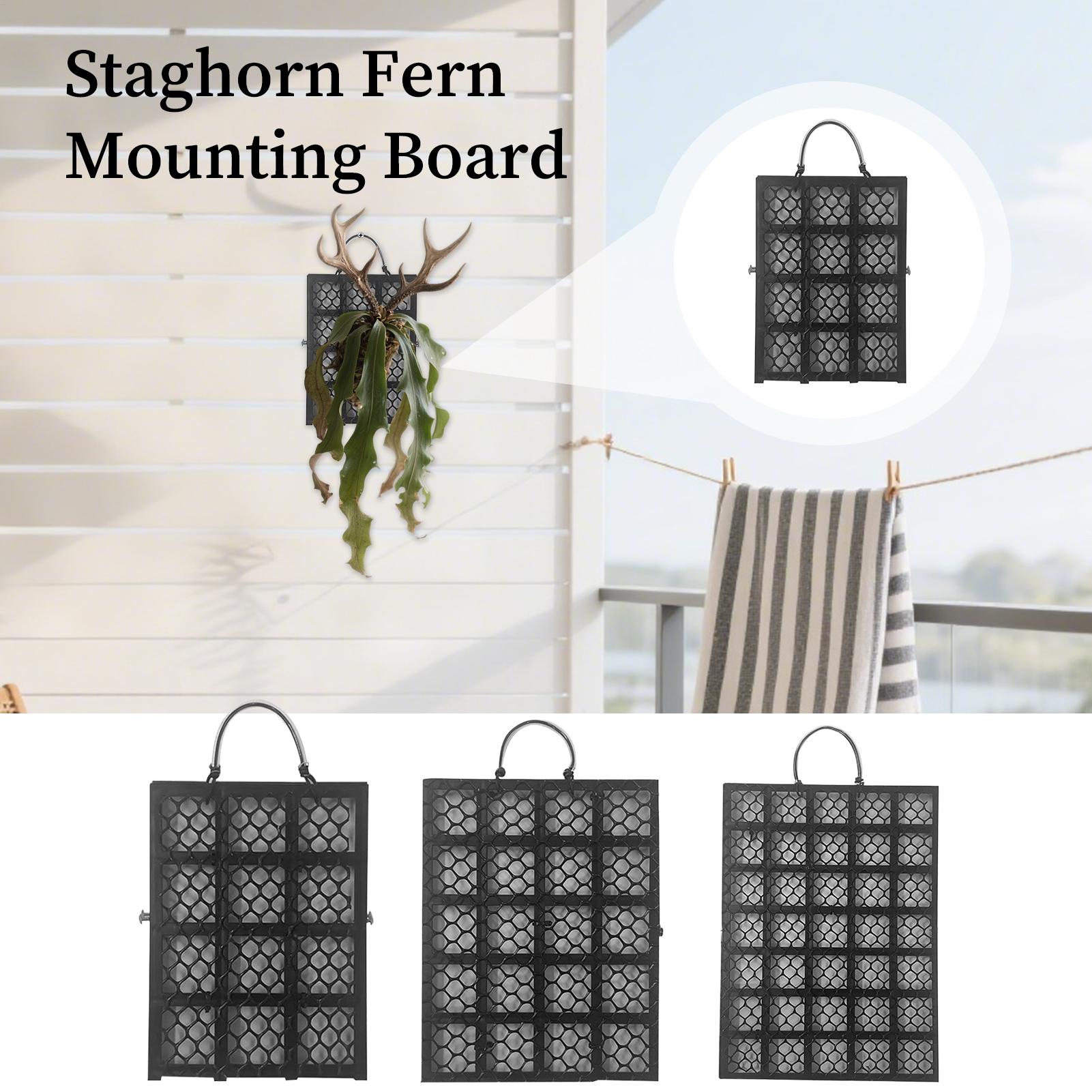 Staghorn Fern Mounting Kit Vertical Plant Wall Planter Frame Board Platycerium Orchids Mount Home Decor For Garden Indoor