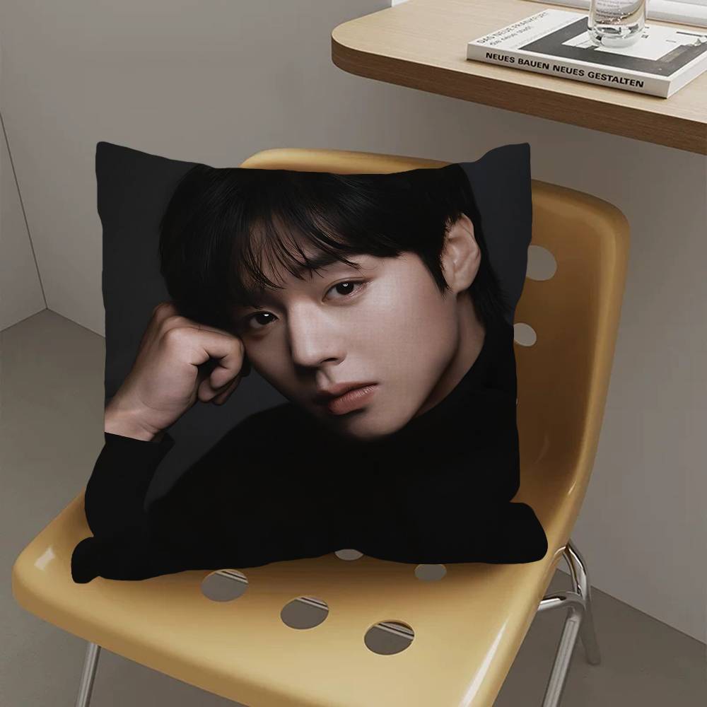 Korean P-PARK JI HOON Anime Pillow Cushion Cover Pillowcase Living Room Sofa Home Decor Customized