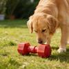 Squeaky Dog Ball Puppy Teething Toy Dog Chew Toy Ball with Convex Surface Interactive Toy for Dogs Outdoor Training Teeth Cleaning