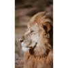 Black White Animals Art Lions Oil Painting Canvas Art Posters and Prints Wall Pictures for Living Room Home Wall Decor