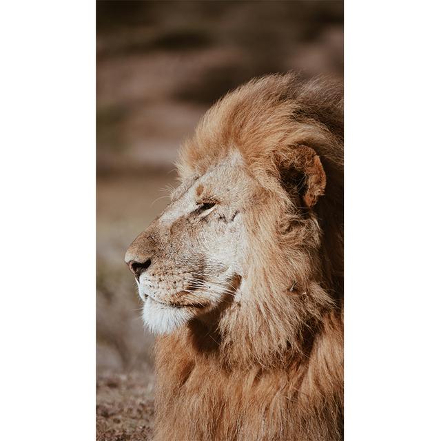 Black White Animals Art Lions Oil Painting Canvas Art Posters and Prints Wall Pictures for Living Room Home Wall Decor