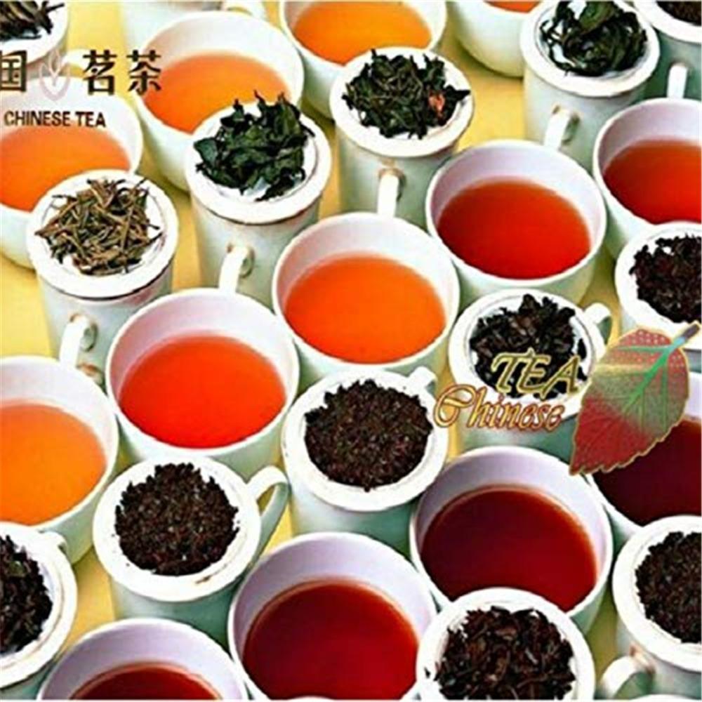 10 Stück C-PE042 China Pu'er Tee Probennehmer Roh und Gekocht Pu'erh Tuocha 50g
