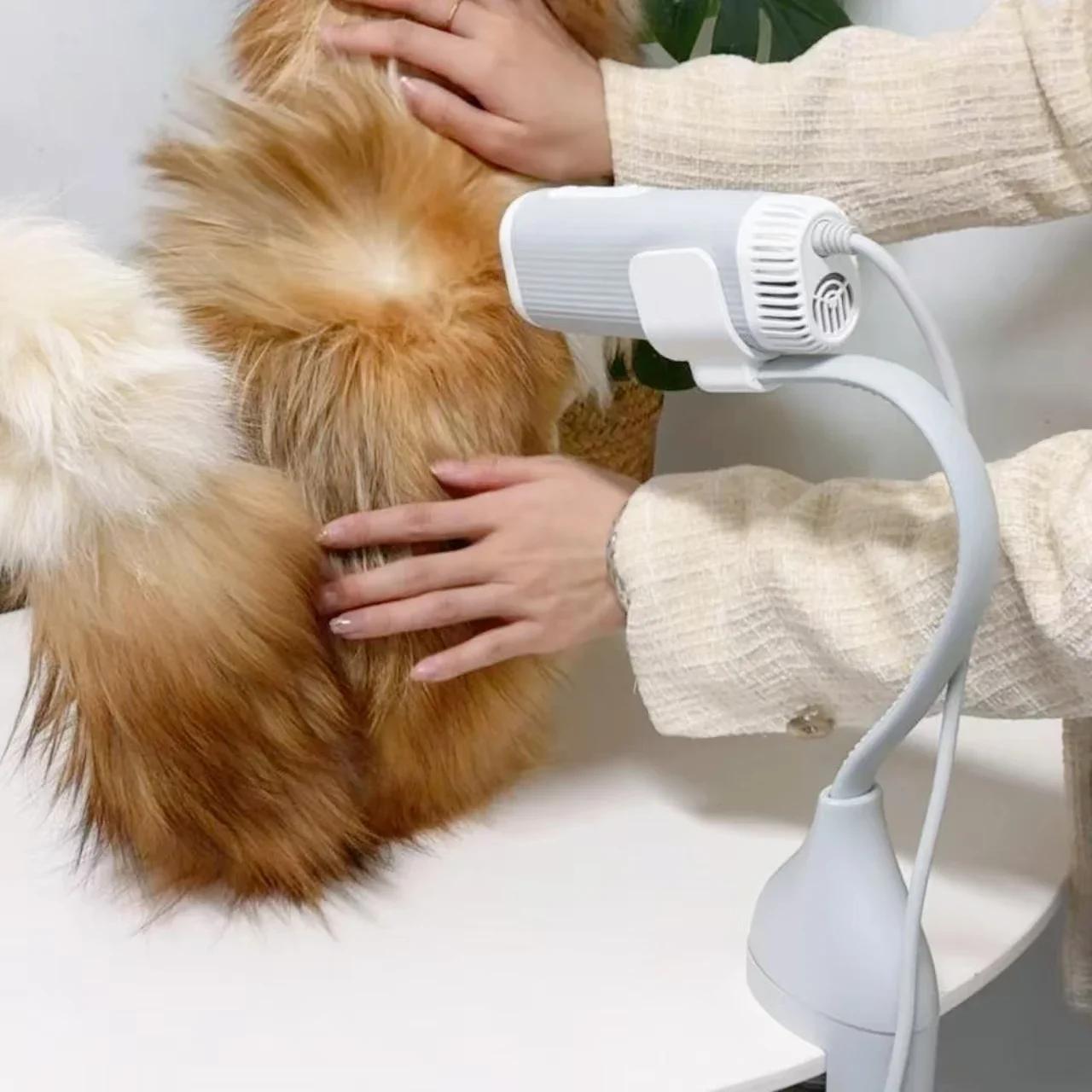 

For Pet Hair Dryer High Power Silent Hair Blowing Artifact Large And Small Dog Water Blower Special For Dogs