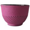 Cast Iron Kettle 0.8L Infuser Tea Strainer + 2 Cups + Tray