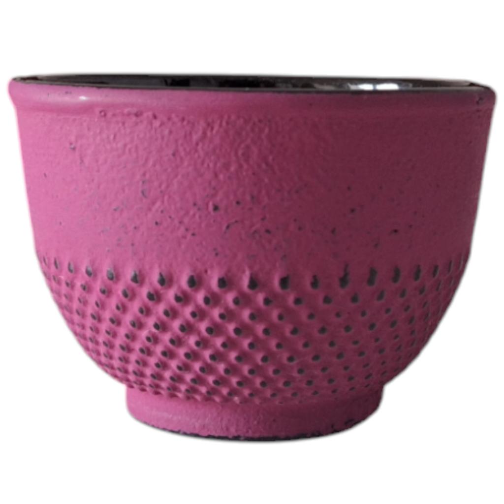 Cast Iron Kettle 0.8L Infuser Tea Strainer + 2 Cups + Tray