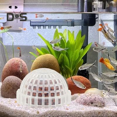 Mos Halfrond Kolonisatie Bal Aquarium Garnalen Vissenkom Mosballen Houder Zoetwater Levende Planten Vormgevende Bal met Filtersteen