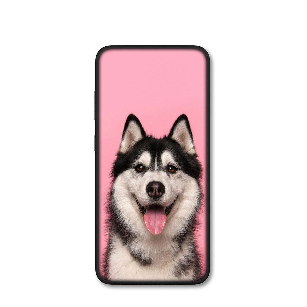 Bella Copertina per Telefono Divertente con Cane Husky per Samsung Galaxy S25 Pro S23 S22 S24 FE Ultra S10 Plus A05 A06 A15 A16 A26 A35 A36 Custodia