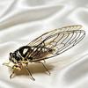 Golden Finish Golden Cicada Figurine Realistic Details Insect Figurine  Insect Collectors
