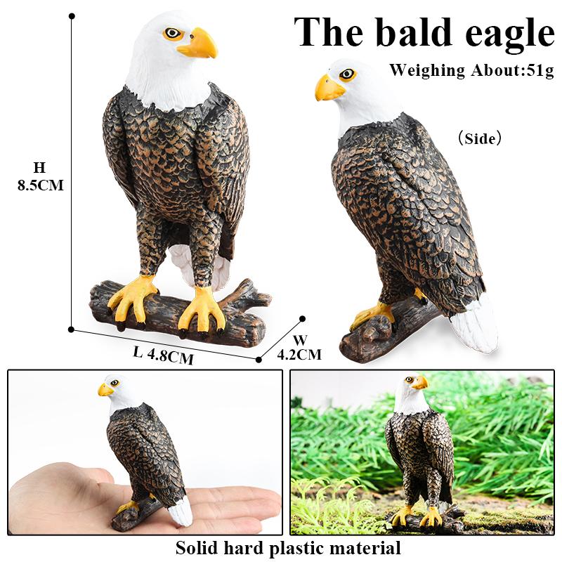 Oenux Bird Nest Animals Peacock Parrot Trogon Hornbill Owl Model PVC Action Figures Big Garden Decoration Cute Kids Toy Gift