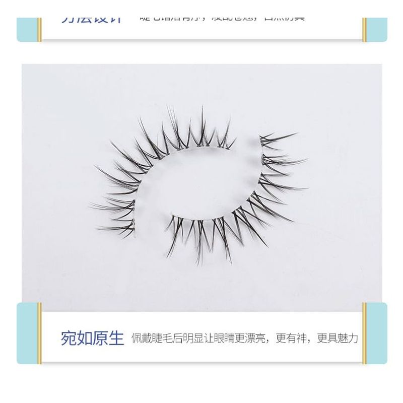 Choyu - Natural Multipack False Eyelashes