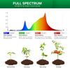 150W LED Grow Light Full Spectrum Phytolamp for Plants E27 Plant Lamp Fitolamp For Growbox Indoor Seedlings Flower Fitolamp