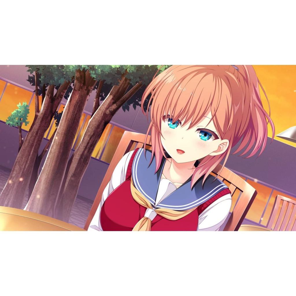 After School Cinderella Limited Edition PS4 Bonus Acrylic Microfiber and Haruka SD Illustration Acrylic - (Includes Items Panel, Cloth, Keychain)