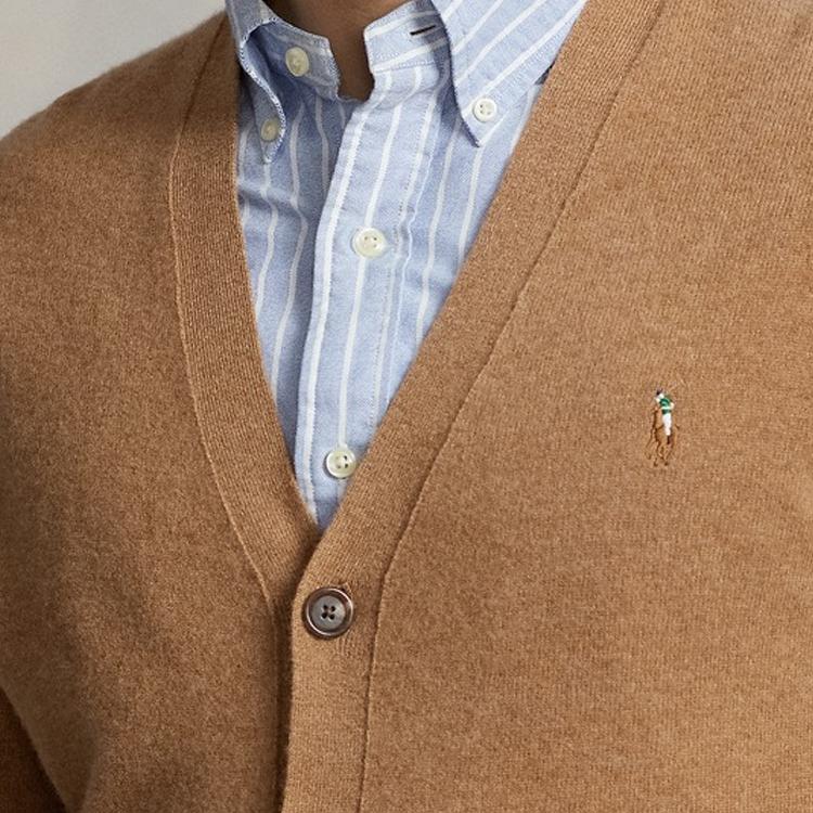 Polo Ralph Lauren FW23 Solid Logo Embroidered V-Neck Fitted Long Sleeve Knit Sweater Men sweater Brown MNPOSWE16821642-200