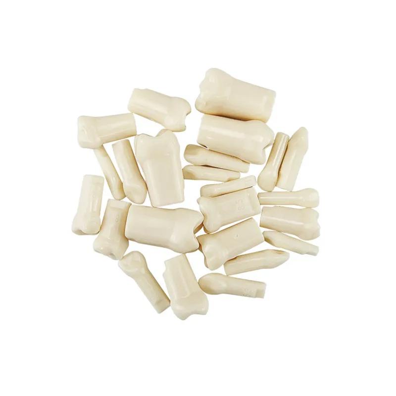 Kids Teeth Model For Dental Technician Practice Dental Typodont Model With Removable Teeth Soft Gums Dentistry Training Models