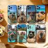 Cute Capybara Phone Case For iPhone 17,16,15,14,13,12,11 Plus,Pro Max,XS,Soft Silicone Black Cover