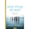 Wenn alles zerbricht Taschenbuch Von Pema Ch?Dr.?n UKN2131