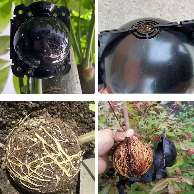 12Pcs Plant Rooting Ball Transplant Nursery Ball Sapling Propagation Grafting Breeding Case For Home Gardening Tools