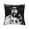 In Memory Of David Allan Coe 1939- Pillow Cover Retro Portrait Tribute Soft Cushion Cover Pillow Case For Living Room Chair