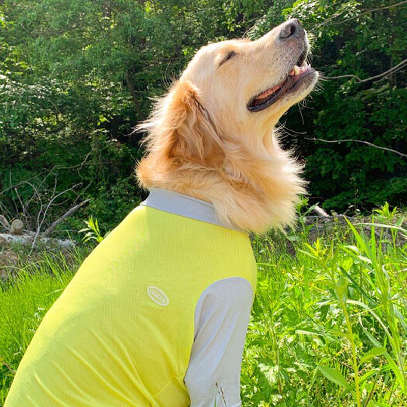 BARKDOG Functional Cool Bug Guard 2 Types M-6XL 3 Colors