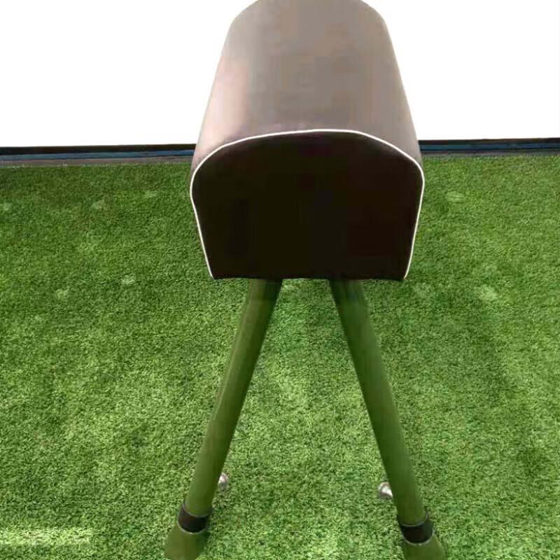 Zhong'aoda Förstärkt Hopphäst