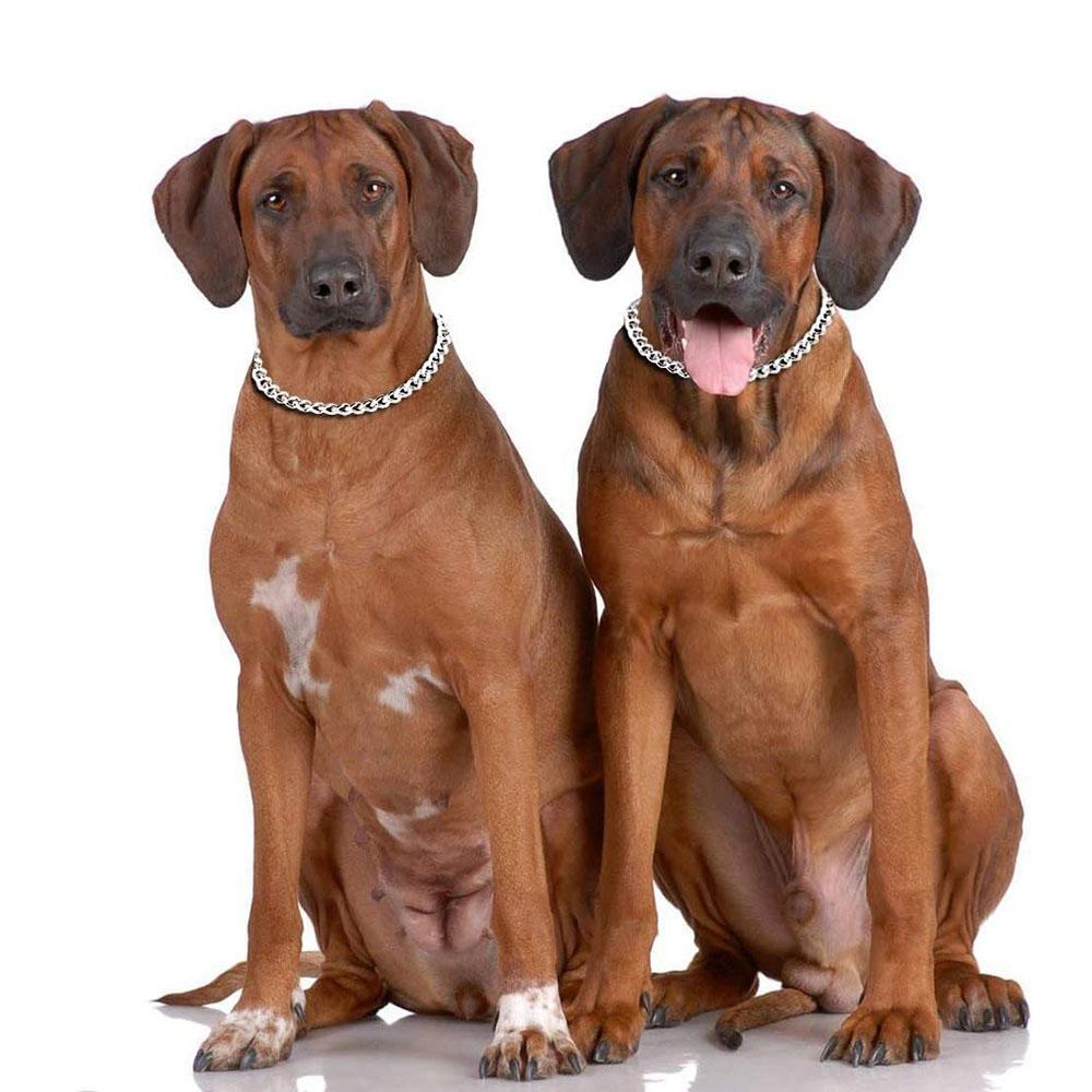 Metal Dog Training Choke Chain Collars for Small Medium Large Dogs Pitbull Bulldog Strong Stainless Iron Dog Slip P China Collar