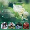 Lafang Jasmine White Tea Shower Gel