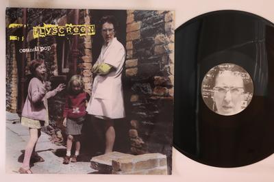 12inch Record FLYSCREEN  Council Pop WOWLP42 WORDS OF WARNI 1995 UK Rock Used