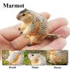 Oenux 16PCS Wild Animals Forest Lizard Bat Fox Squirrel Action Figure Model Miniature Cake Toppers Education Toy Kids Xmas Gift
