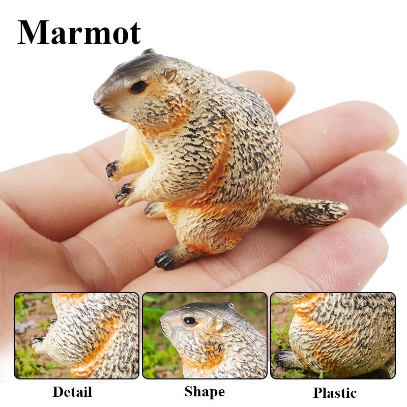 Oenux 16PCS Wild Animals Forest Lizard Bat Fox Squirrel Action Figure Model Miniature Cake Toppers Education Toy Kids Xmas Gift