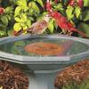 Metal Birds Bath Tray Copper Bird Bath Disk Outdoor Feeder Cleaning Accessories Triple-Point Support Purifier Disc Water Bowl