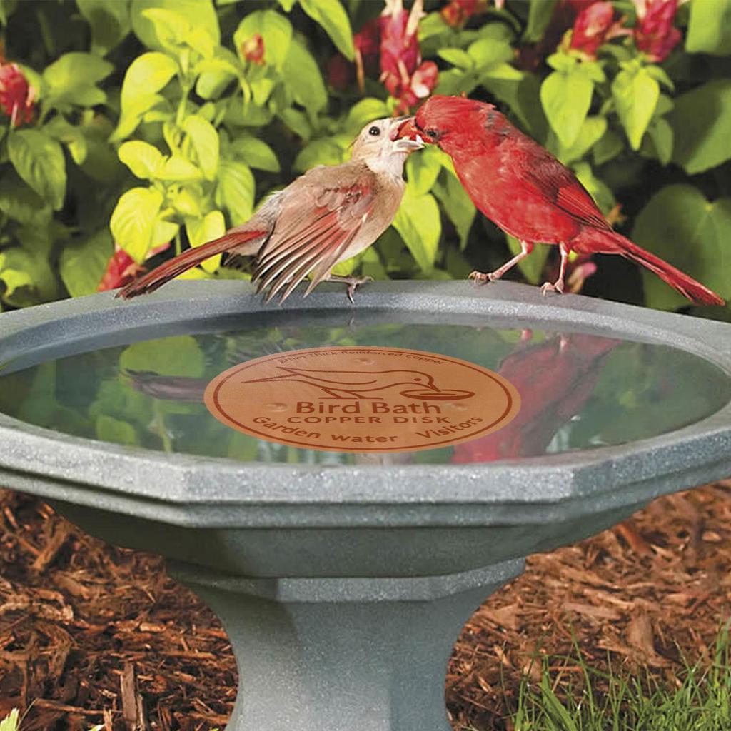 Metal Birds Bath Tray Copper Bird Bath Disk Outdoor Feeder Cleaning Accessories Triple-Point Support Purifier Disc Water Bowl