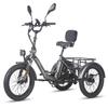 FAFREES F20 Mate Electric Tricycle 48V 23.45Ah Battery 500W 20 Inch Tires With Mirror And Rear Basket