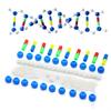 Hands On Assembly DNA Structure Model Double Helix DNA Models For Classroom Teaching Demonstration And Laboratory