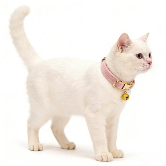 קולר חתול מתכוונן קולר חיות מחמד רך עם פעמון נשלף קולר חיות מחמד בצבע אחיד לכלבים קטנים חתולים גורים טיולים בחוץ בטיחות