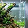 5PCS Acrylic Transparent Reducing Adapter for Direct Size Matching Straight-Through Pmma Aquarium Water Pipe Fittings Accessory