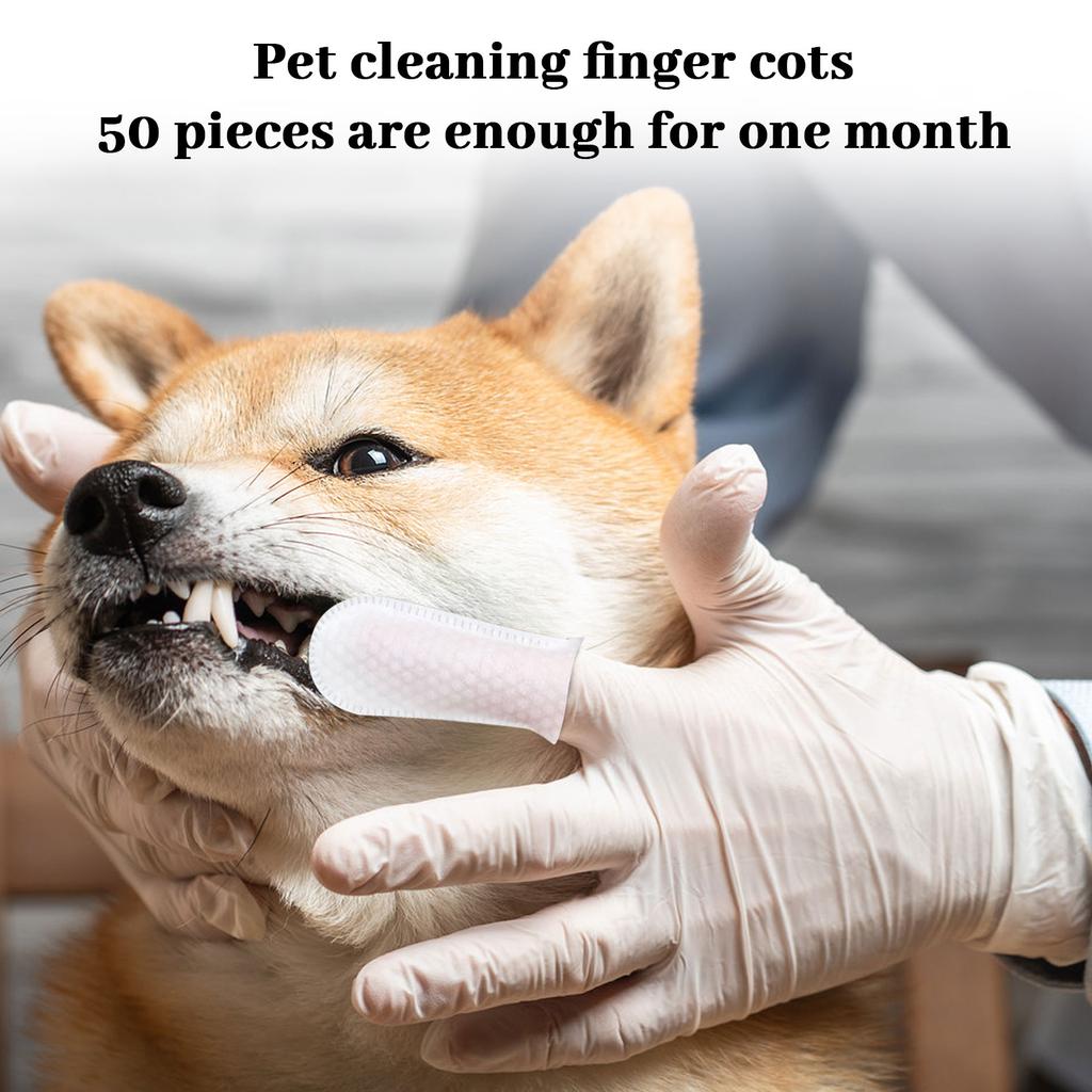 Salviettine Dentali per Animali Spazzolino da Dito per Gatti e Cani Cura Orale Alito Fresco Prevenzione del Tartaro Confezione da 50 Salviettine